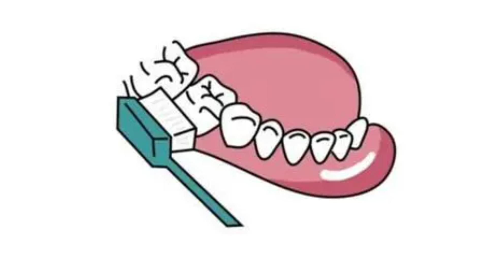 电动牙刷刷牙工作原理,oralb电动牙刷工作原理