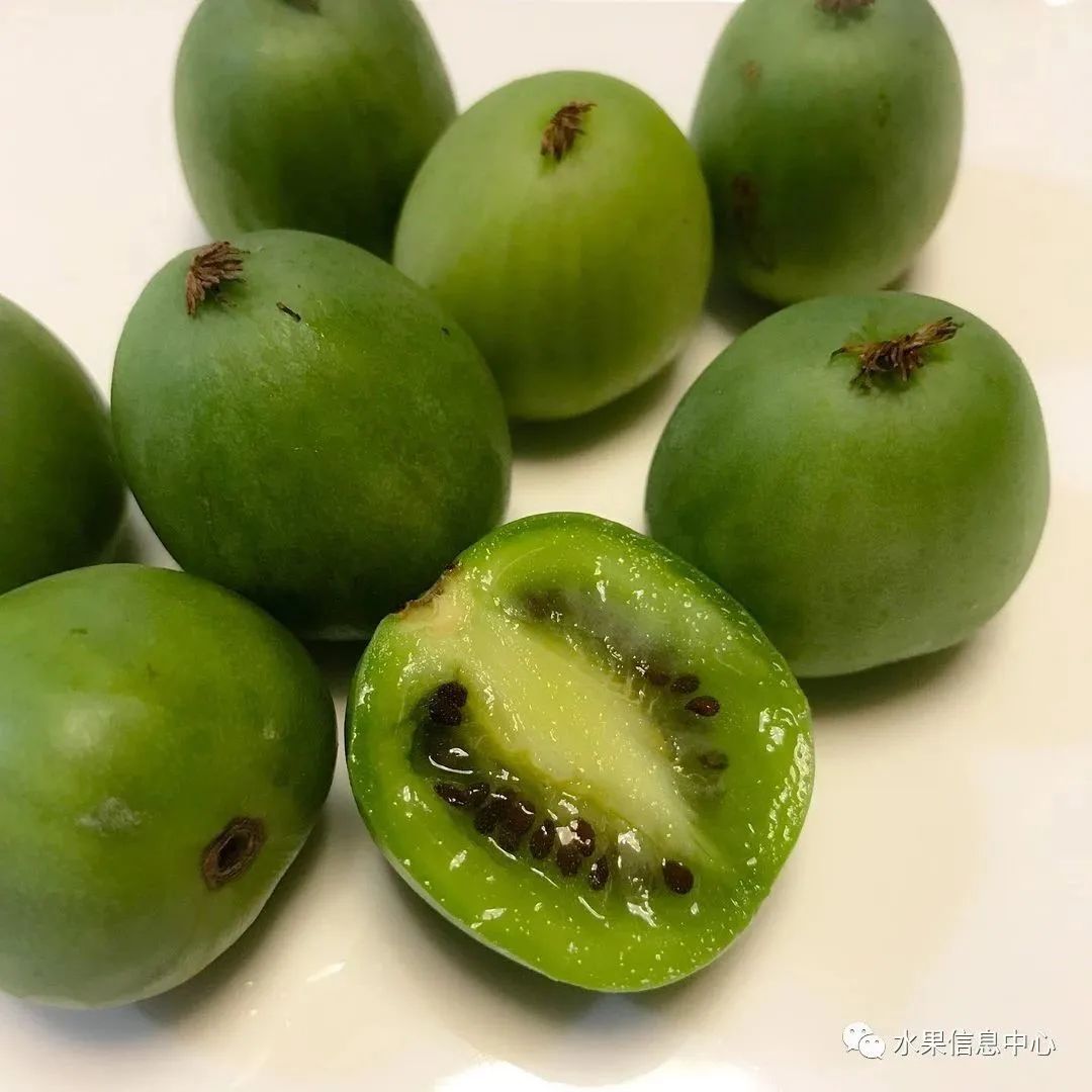 盘点那些迷你的东西,盘点不同样子的水果