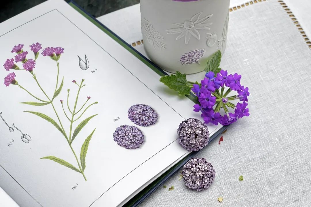 涓轰粈涔堣繖浜涘僵瀹濊繖涔堣吹,鐐僵鐝犲疂