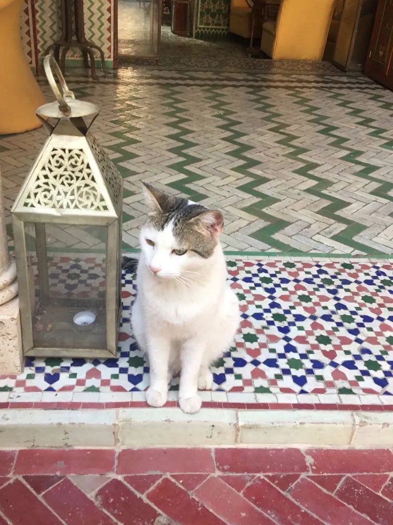 小众景点南方旅游攻略,穷游必去的小众旅游景点合集