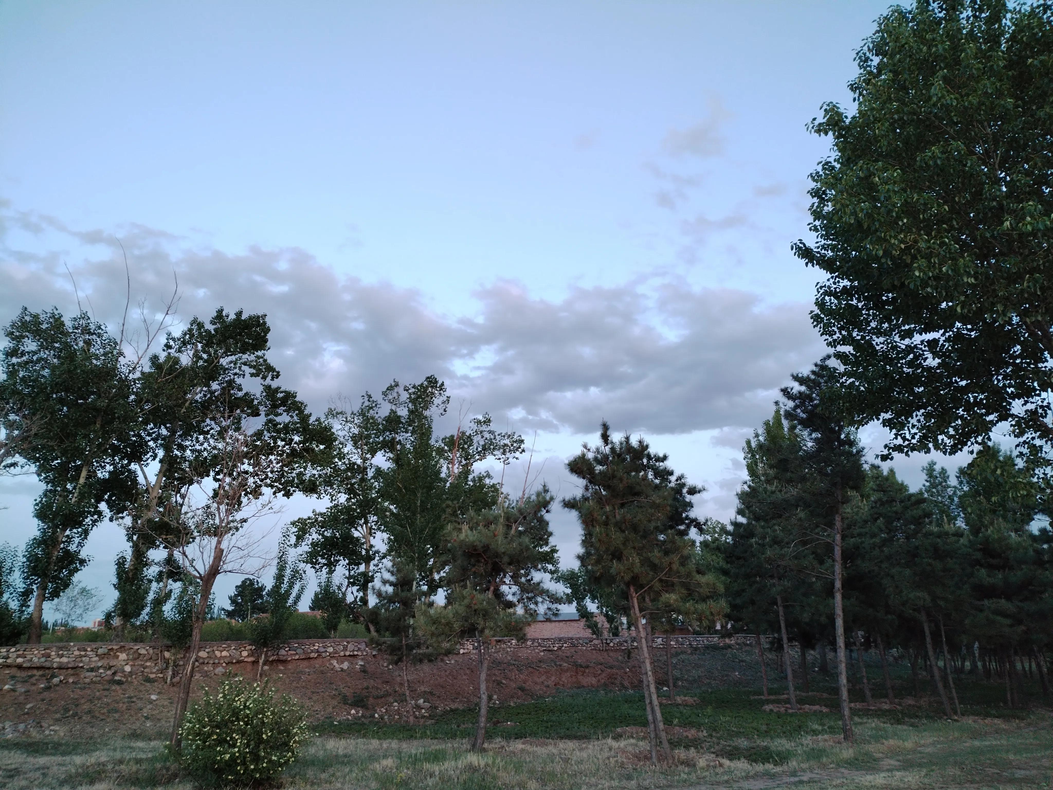 有关*昌星赖**一文的读后感