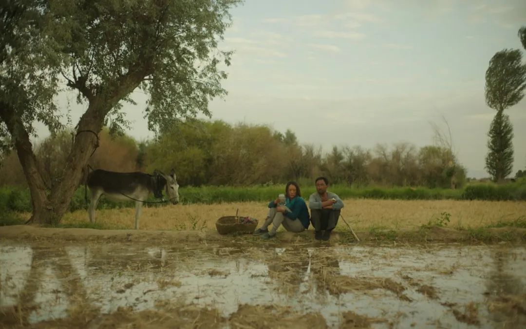 58天，我们见证了一部冷门片的逆袭