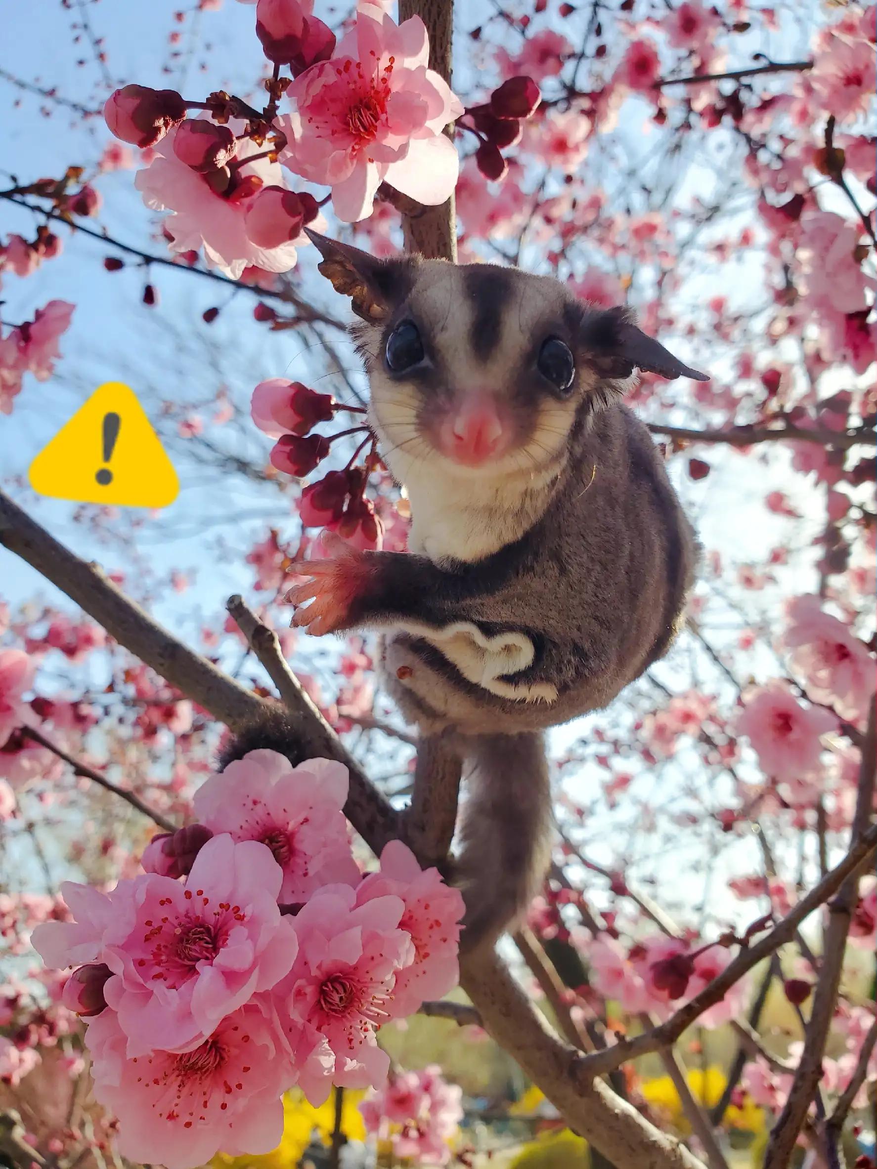 电源按键坏了能开机吗,笔记本键盘故障如何修复