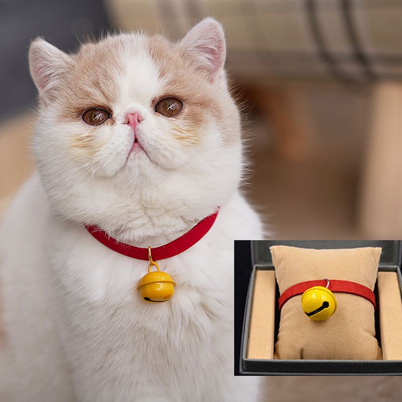 最需要给猫咪买这几样,最好不要给猫咪买的东西