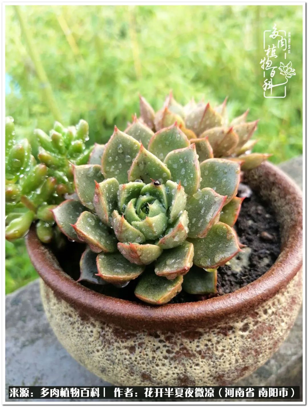 万事开头难只要坚持才有收获,万事开头难只要肯干就会有结果