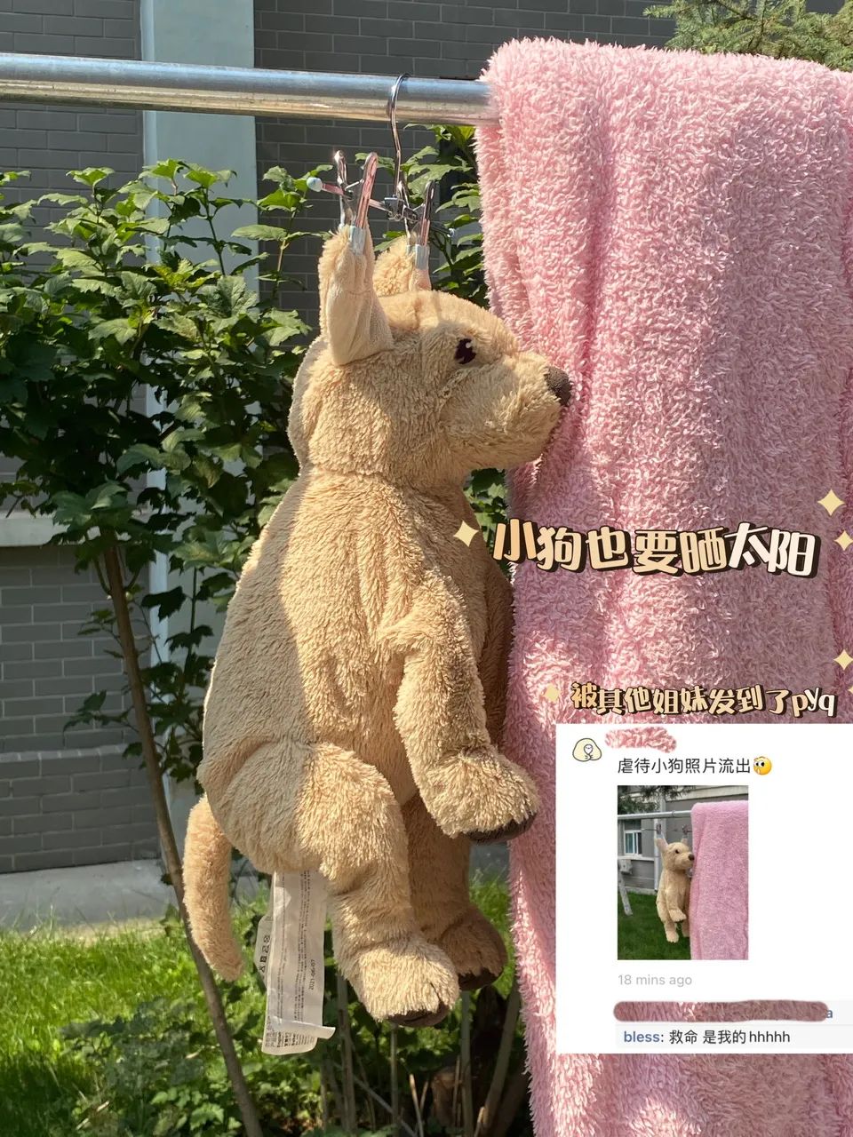 9月，谢谢你们送来的秋天