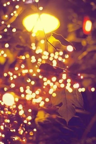 鐏场澹佺焊,鍞編鐏场瑙嗛