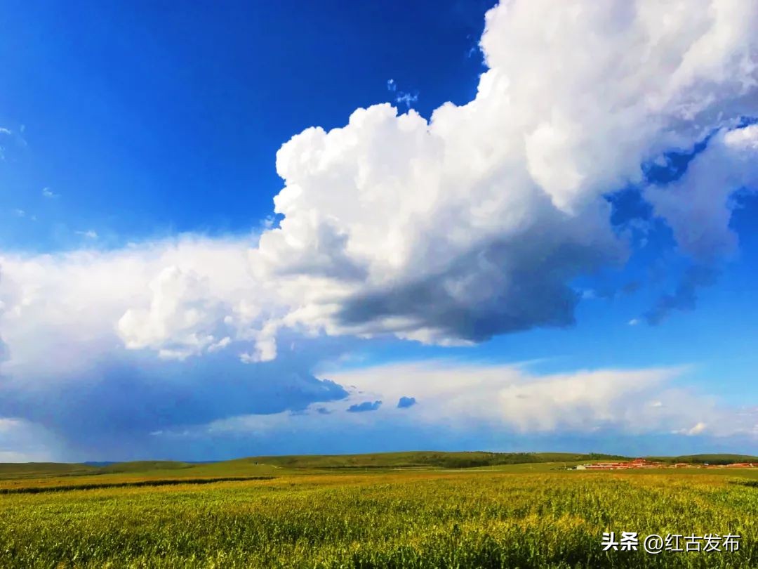 乡村振兴2023年最新热点,2023年乡村振兴必背知识点