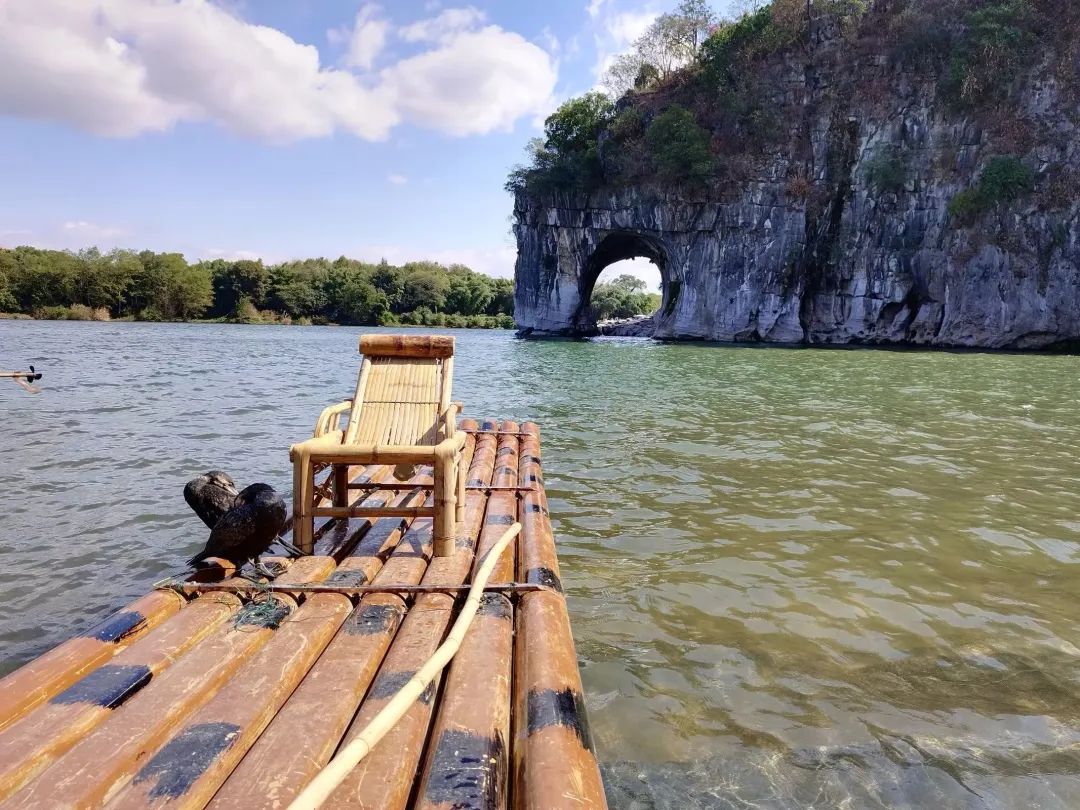 中国诗词大会陈曦骏人物素材,诗词大会第六季总冠军陈曦骏