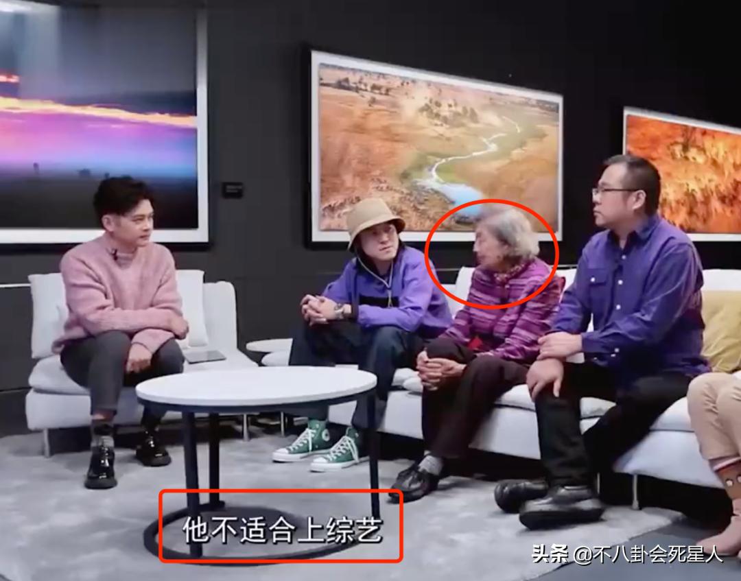 殷桃雷佳音还会工作吗,殷桃杨烁综艺