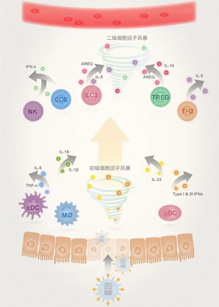 WHO推荐用于新冠感染重症患者救治的巴瑞替尼是什么药？