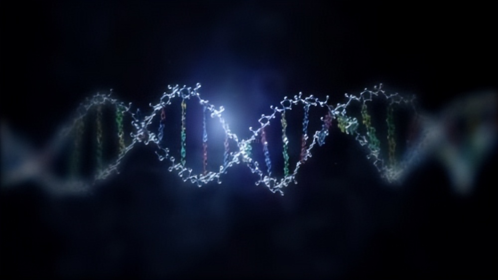 基因组学应用于癌症治疗,基因组学在育种的应用