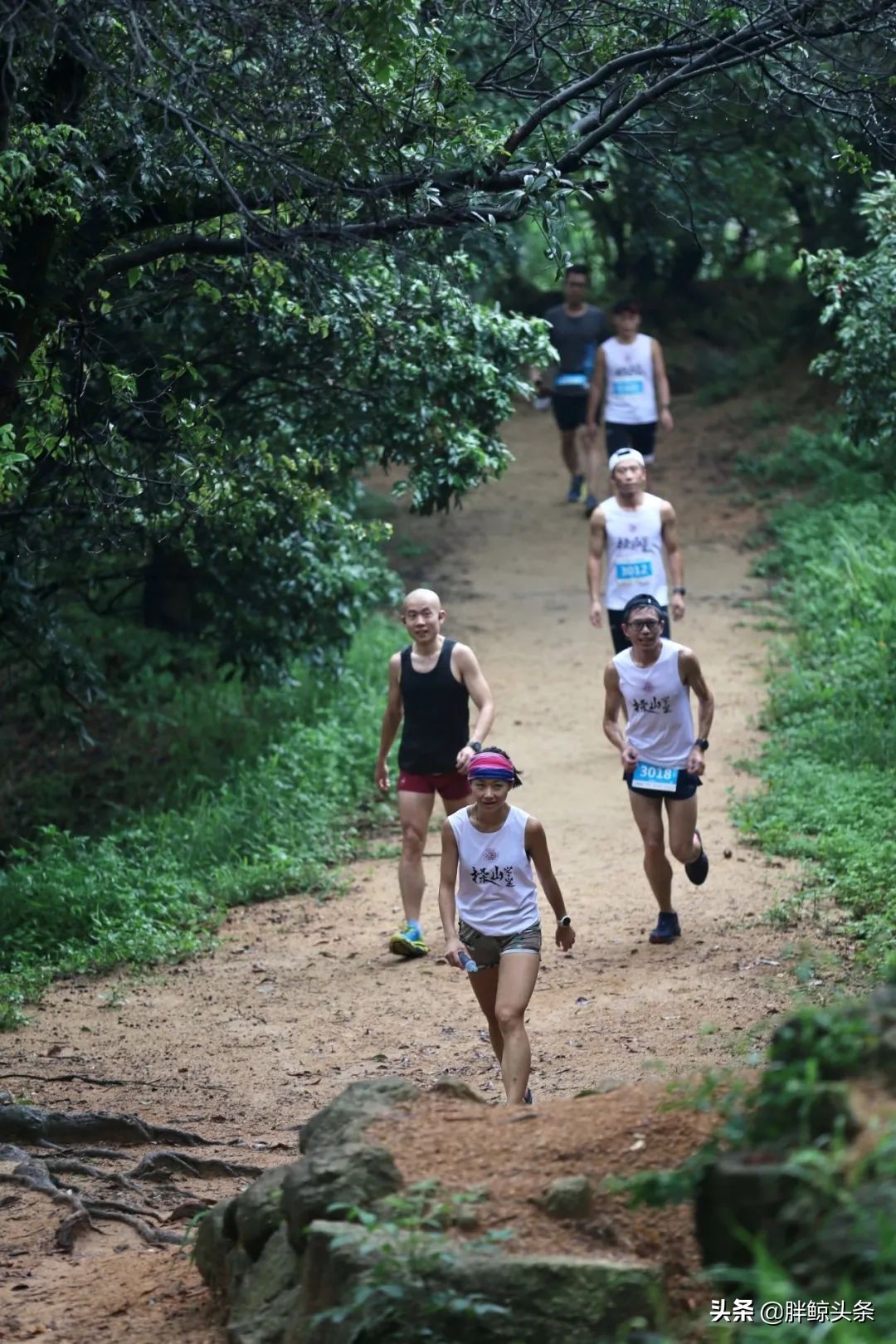 越野跑证书,越野跑成绩证书