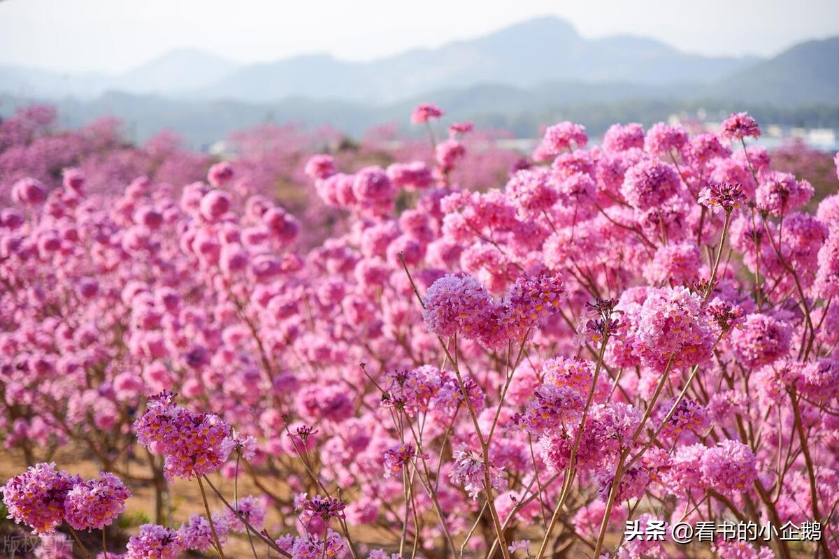 失业了如何增加工作,申请失业补贴后找到新工作