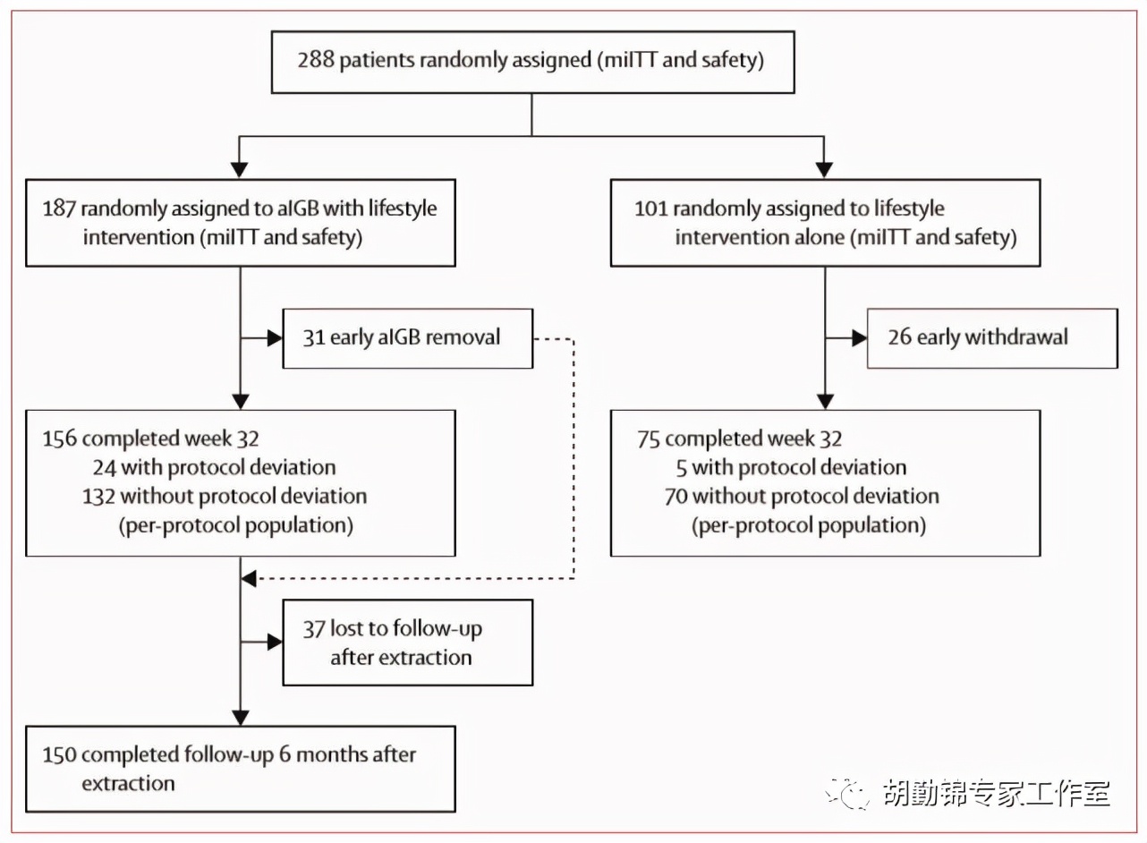 肥胖治疗新*器武**?胃里放个“球”就能减肥?