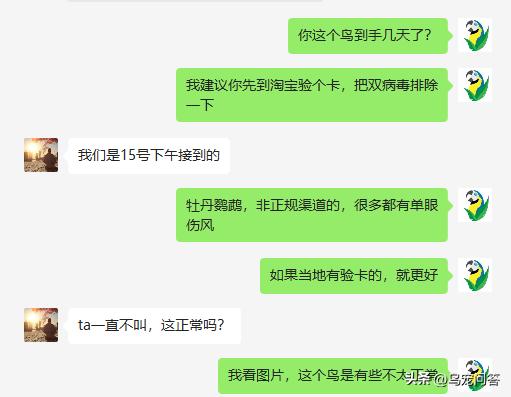鹦鹉带标识和不带标识的区别,不小心买了违法鹦鹉怎么办