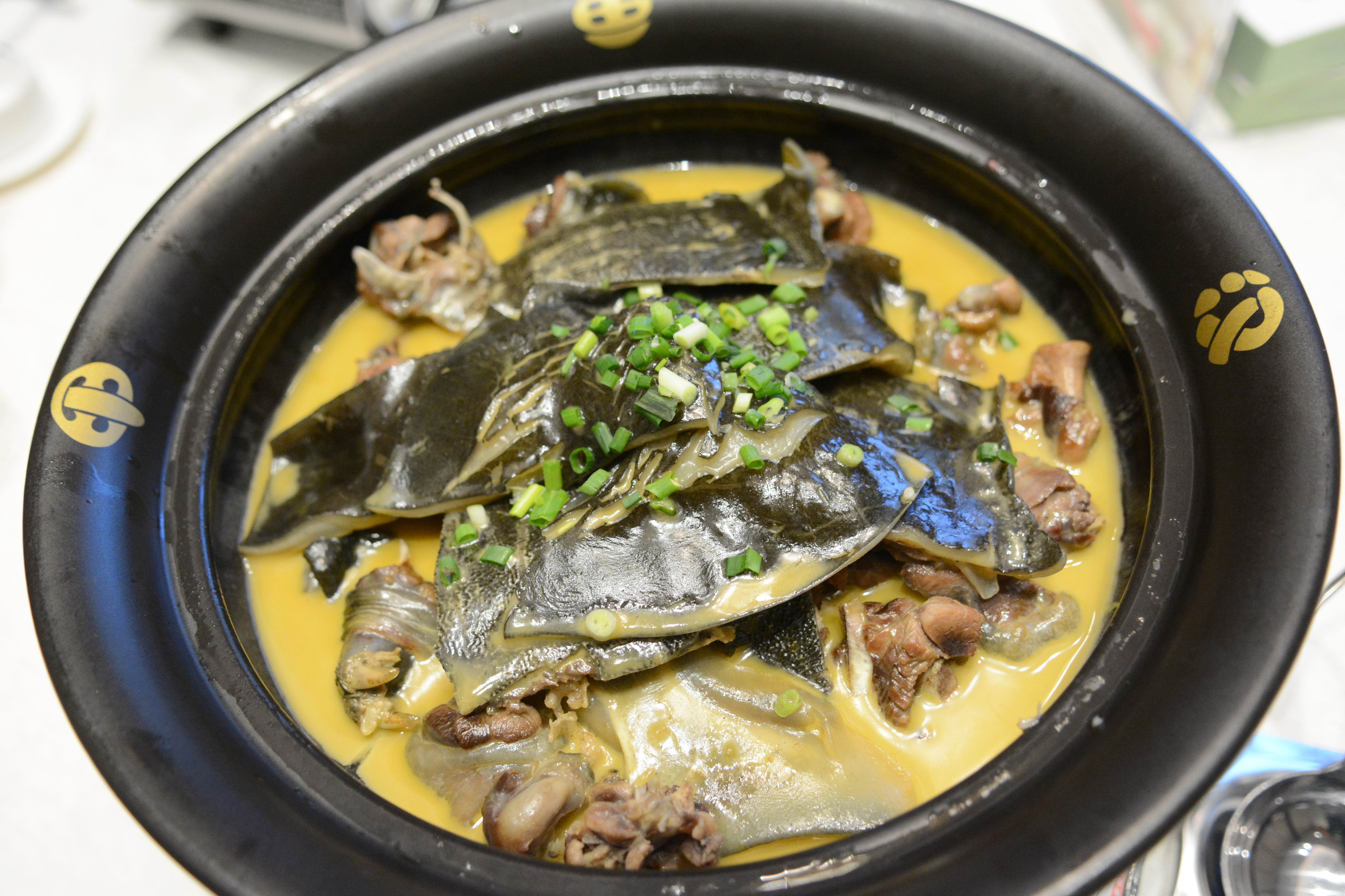 最顶级的湖南汉寿野生甲鱼,汉寿正宗外塘甲鱼