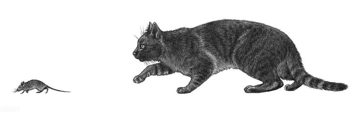 小学低年级英语单词闯关,六年级英语单词每日打卡