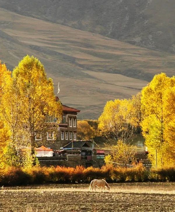 火出圈啦,甘孜文旅局长化身侠客火出圈