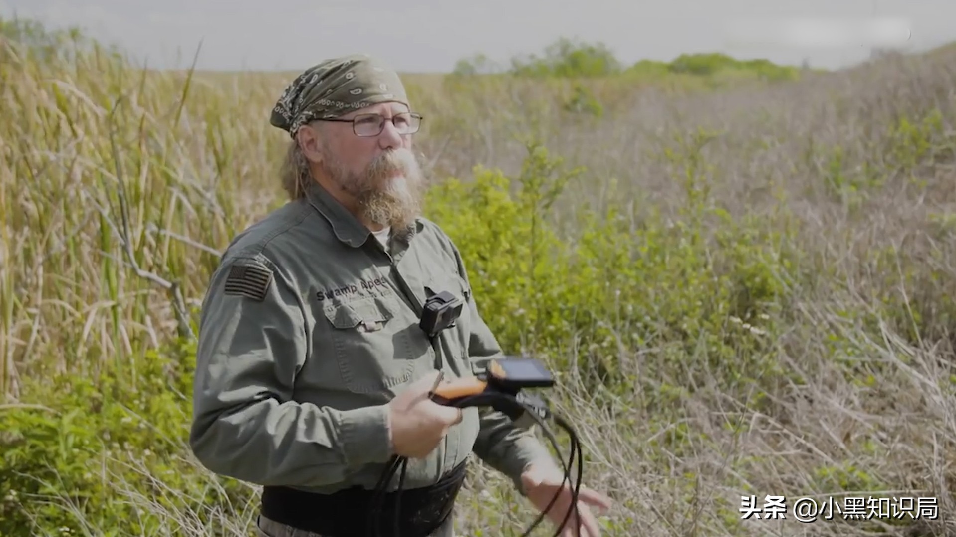 美国再遭生物入侵，30万只缅甸蟒泛滥成灾，最大能长9米，400斤重