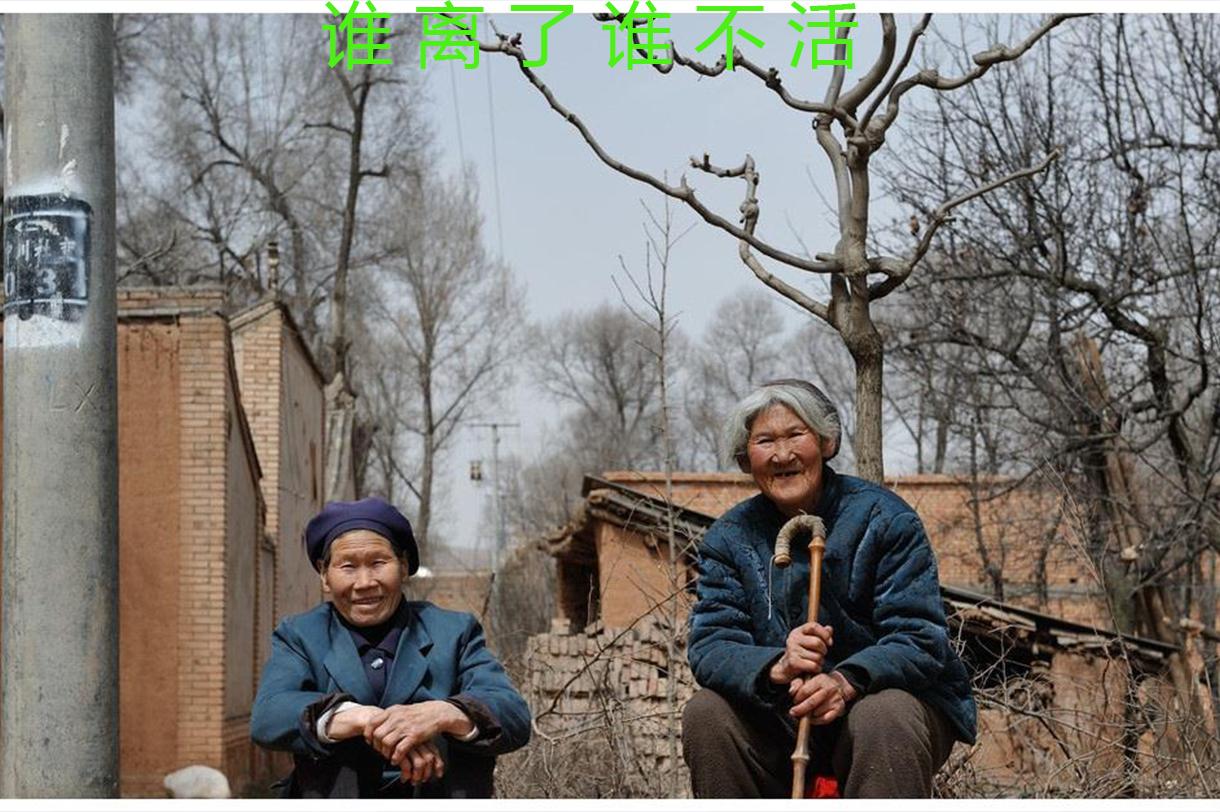 反对“反美”，是技术活，高等人才才能干