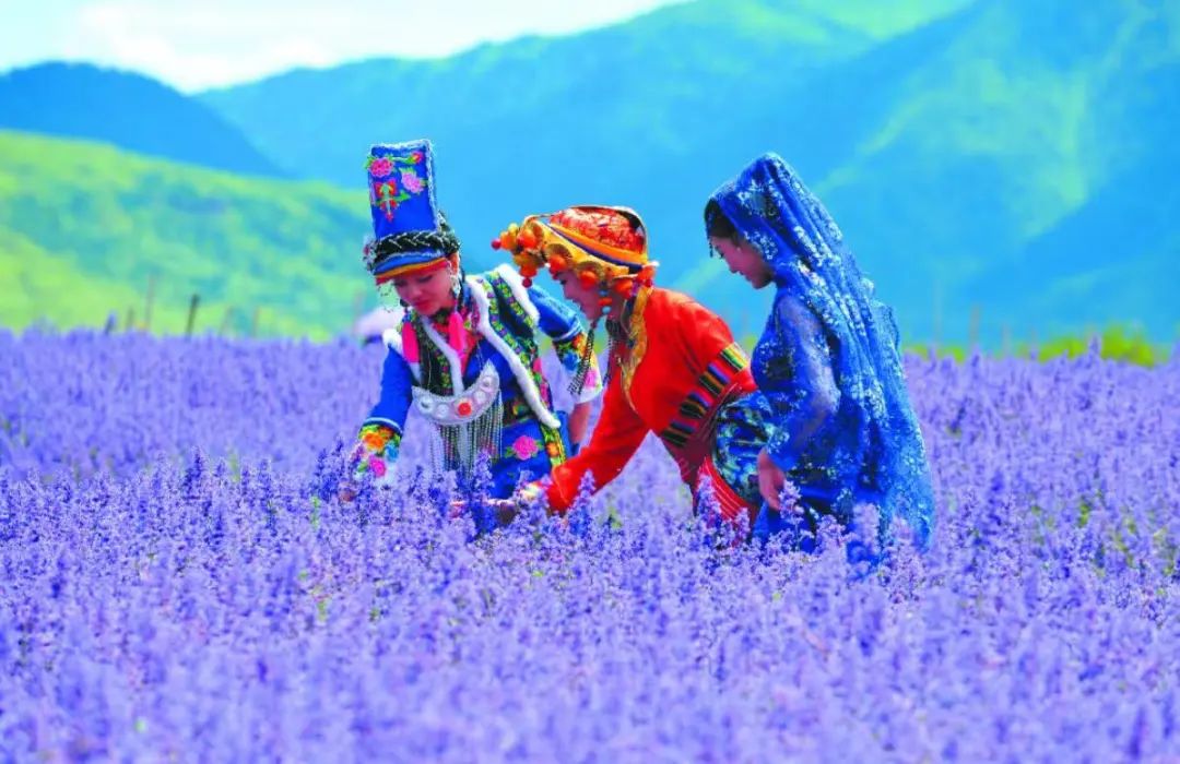 世间景，皆松潘！