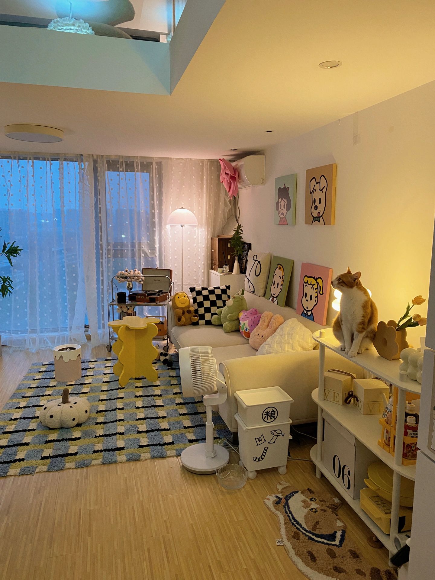 浙江女生晒出40㎡小家，独居养猫，日子过得惬意悠闲，令人羡慕