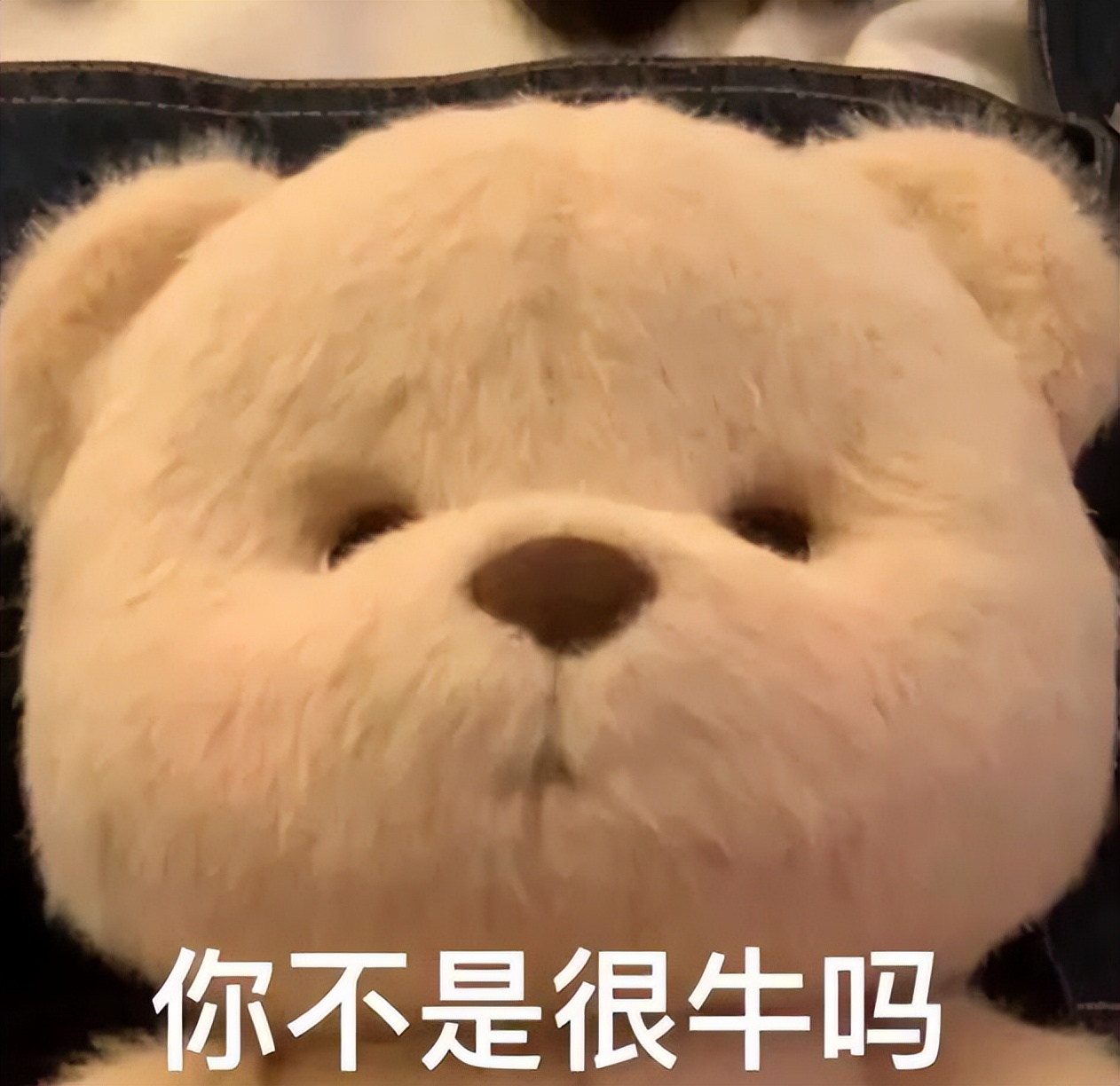 想创业没有钱怎么办,没有钱应该怎么创业