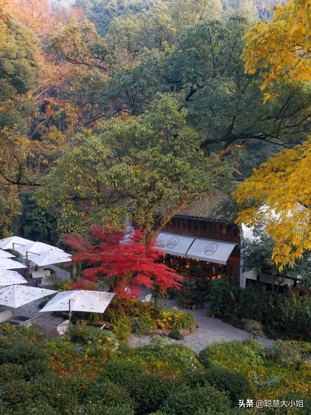 江浙高性价比5星酒店,江浙一带顶级度假酒店