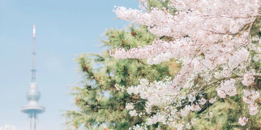 疫情快过去吧，我不想错过这座海滨老城的春天