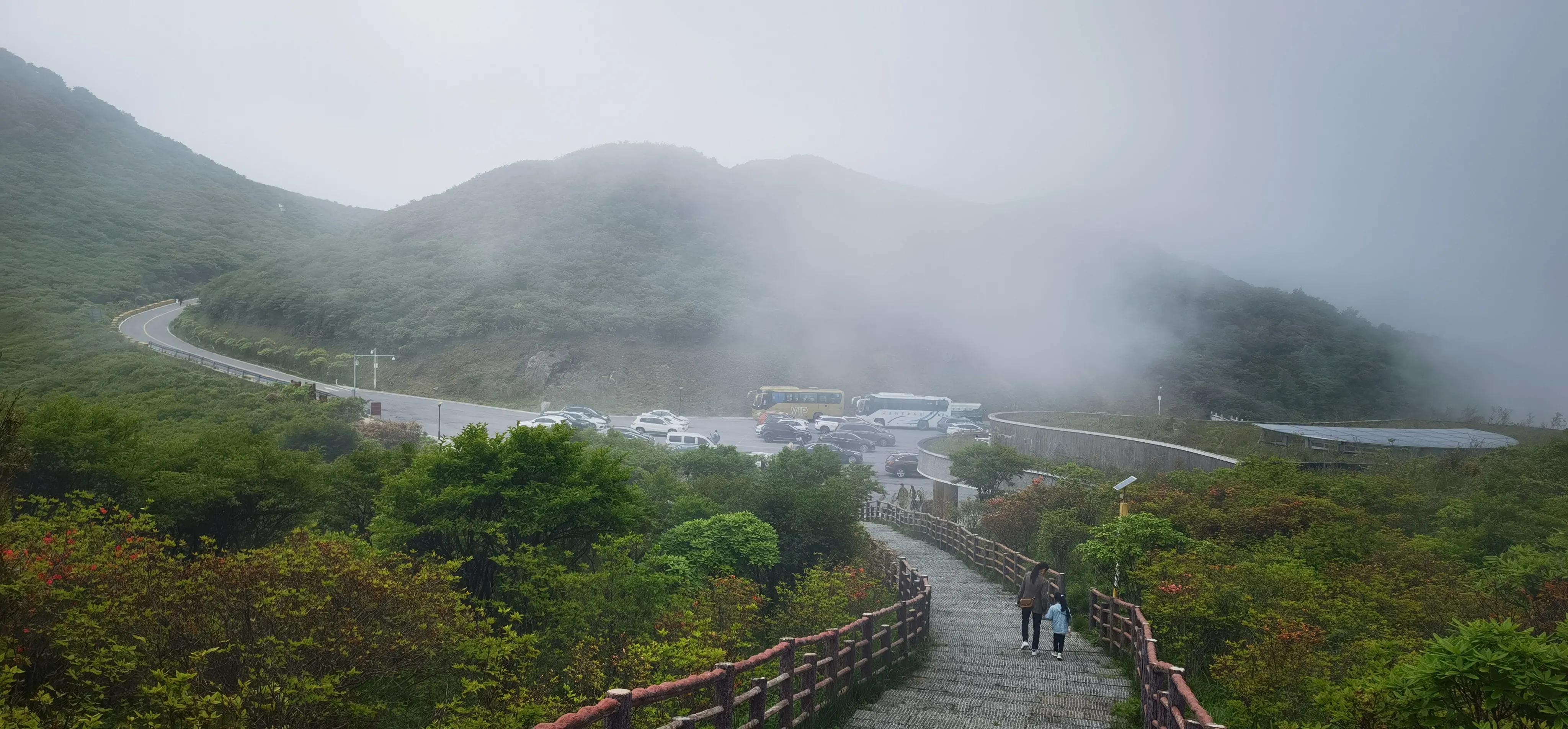 浏阳大围山森林公园浏阳河源头,大围山杜鹃花在哪个景点看