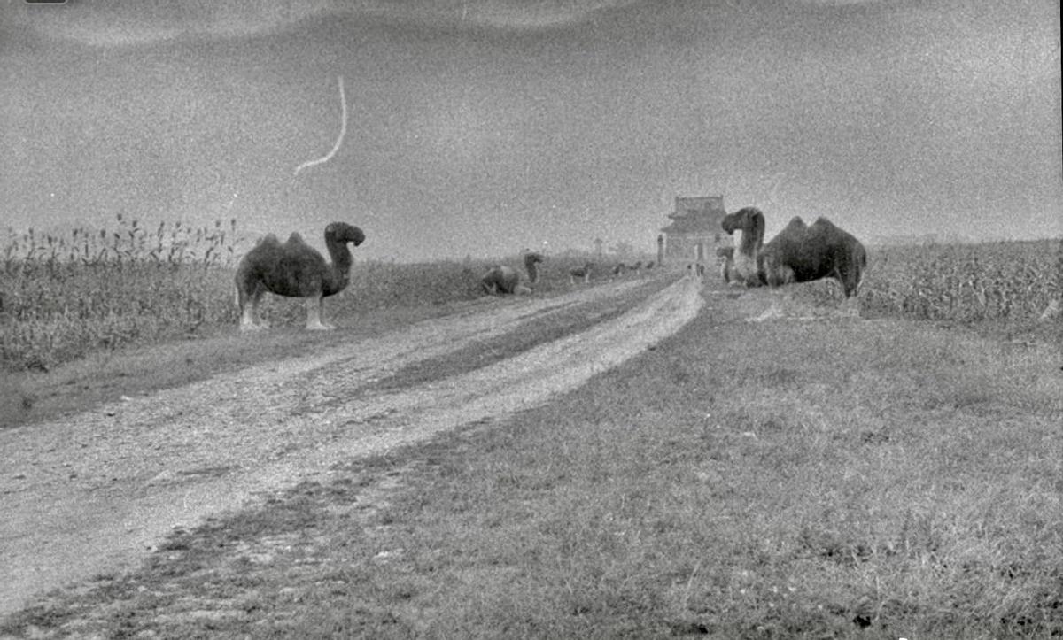 日军兽行照片：当着父亲的面玷污他女儿，临走还残忍割下妻子乳房
