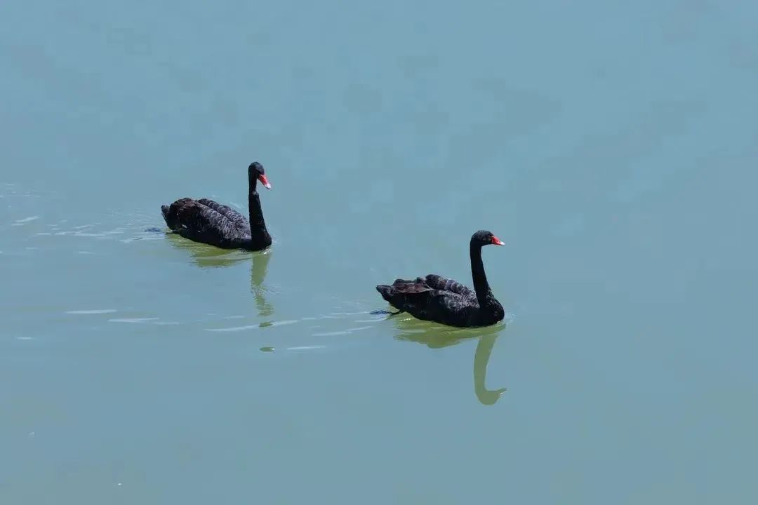 厦门秋游最佳去处,厦门周边秋游