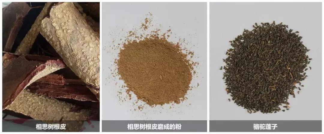 煲汤养生还是伤身体,补品炖汤副作用