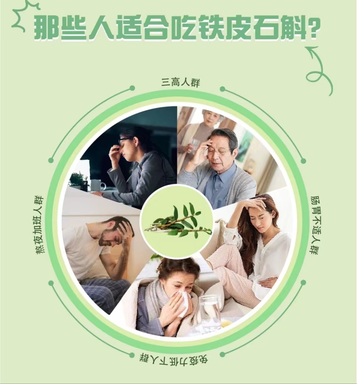 野生石斛现在多少一克,鲜的野生石斛多少一克