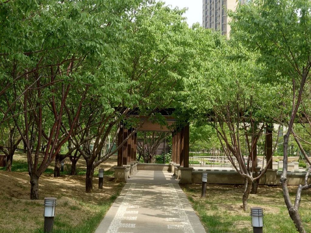 谁是影像机皇,谁才是手机机皇