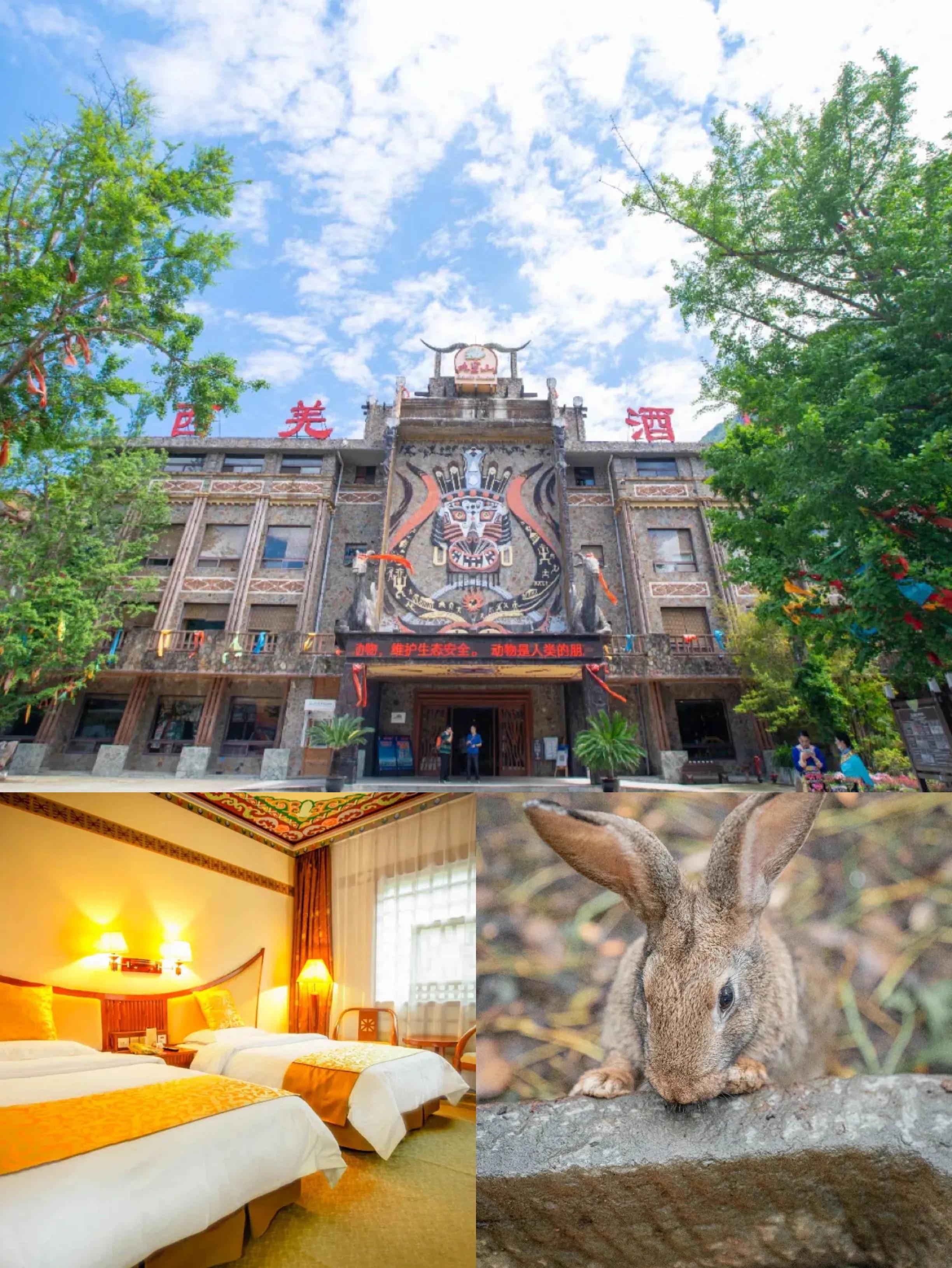 绵阳九皇山攻略一日游多少钱,绵阳九皇山风景区