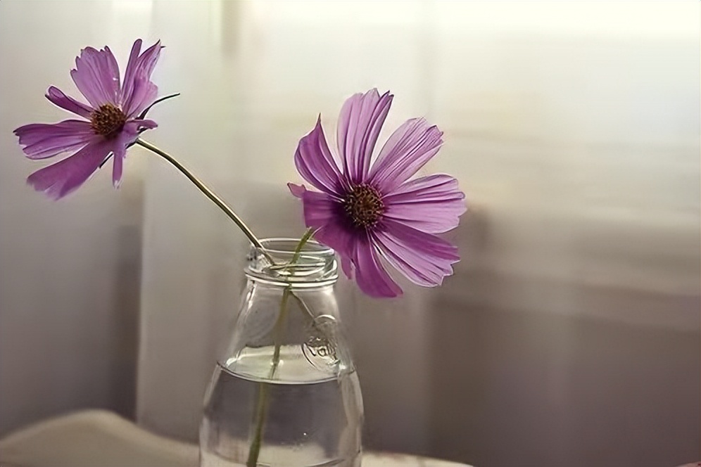 只生了一个孩子的70后，晚年的“无助”，从49岁那年开始