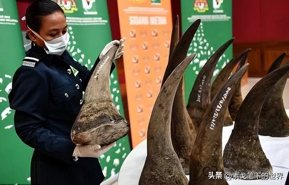 收入水平影响犀牛角消费偏好：野生与半野生犀牛角更受青睐