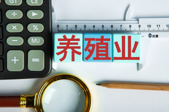 养殖猪养殖羊还是养殖牛,比猪牛羊更赚钱的养殖