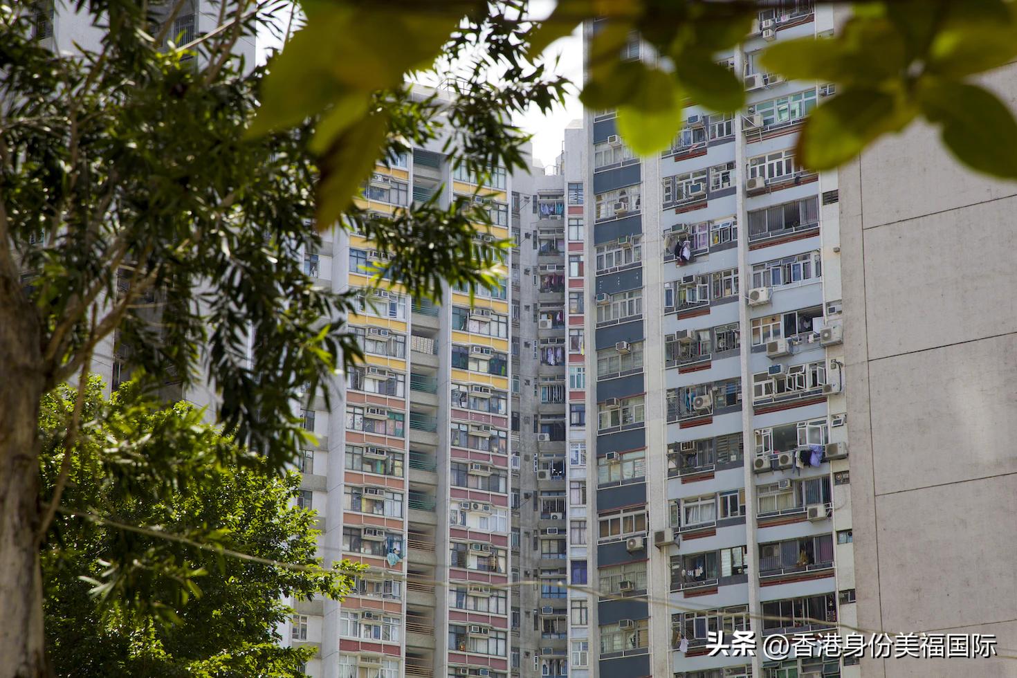 怎样移民港澳,怎样移民香港投资