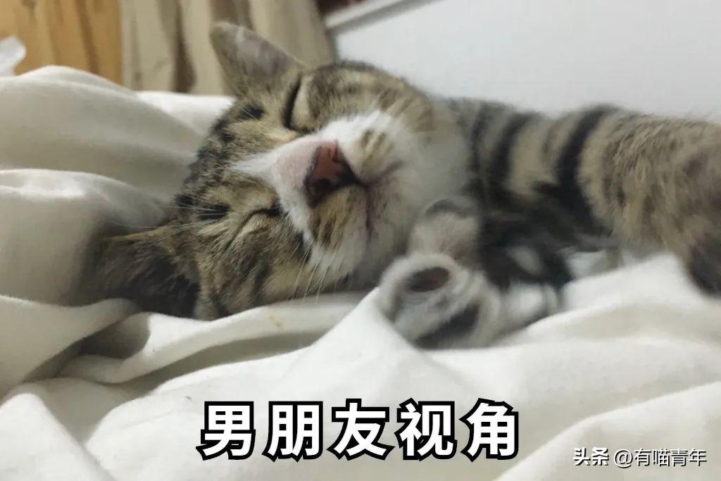和猫睡觉总是半夜被吵醒,跟猫睡为什么会做噩梦