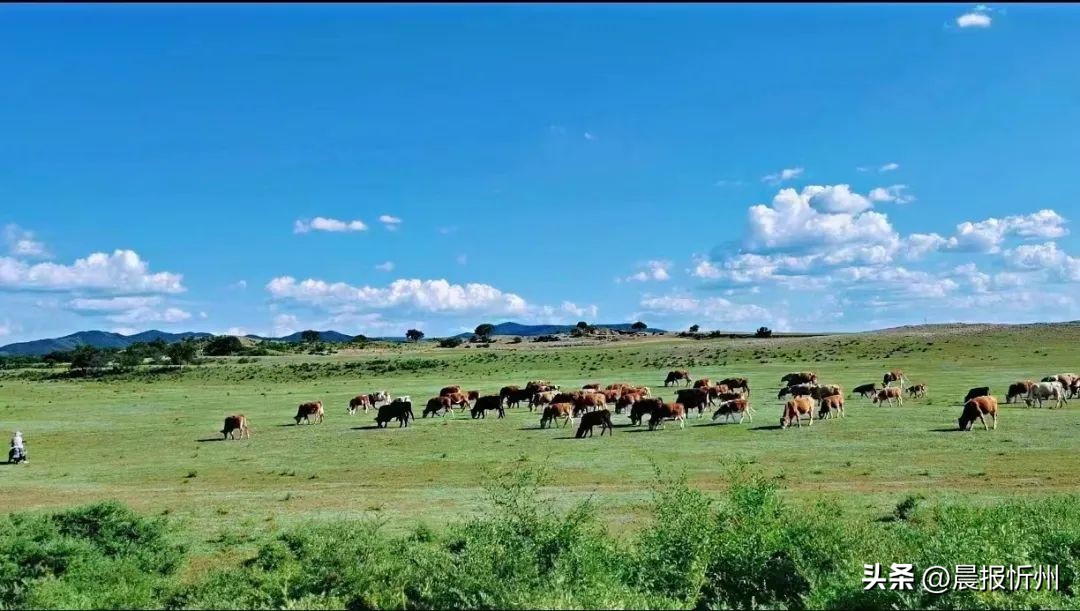 盘活旅游经济,多措并举发展旅游