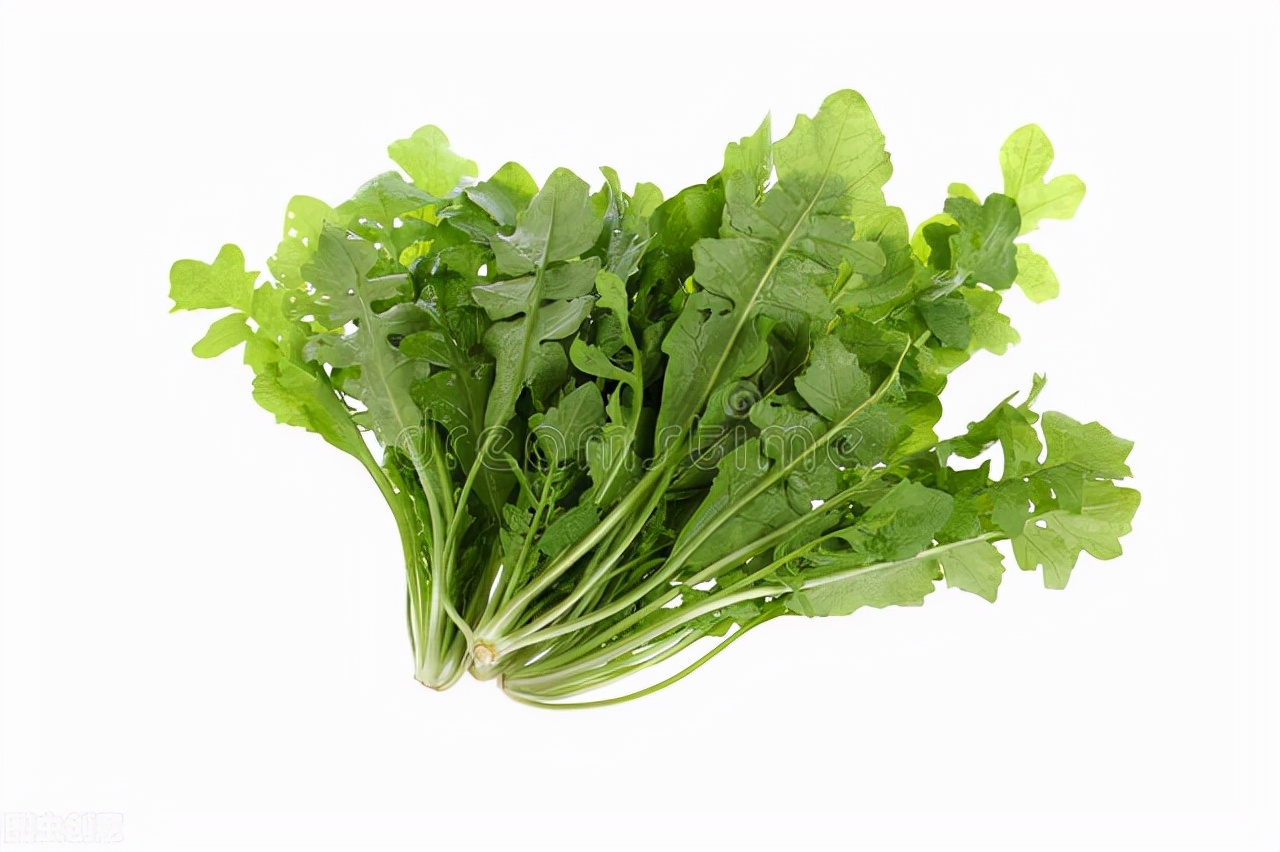 孕妇可以吃荠菜馅的馄饨吗,猪肉啥馅的馄饨适合宝宝吃