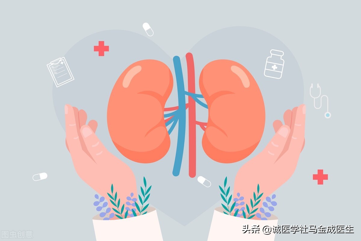 肾精亏虚，身体早衰，两味中药，补肾填精，帮你补回来