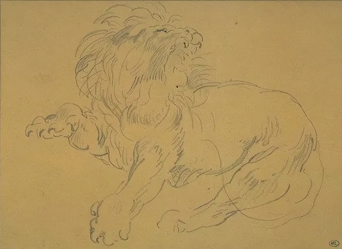 超写实主义动物素描作品欣赏,超简单精微素描凶猛的动物