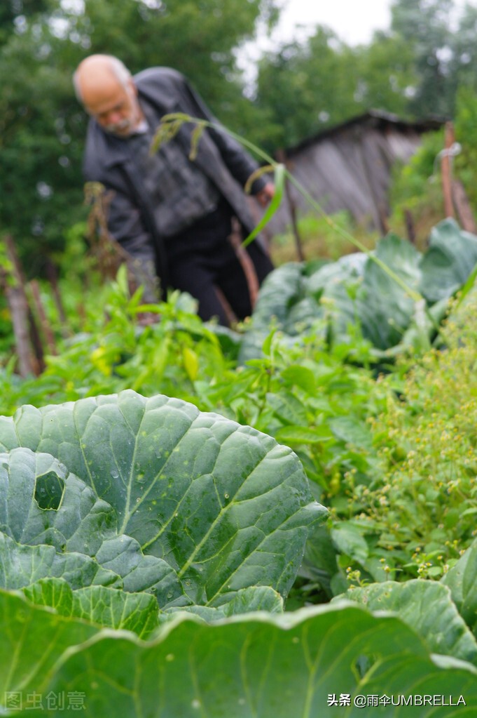 俄罗斯老金,吉林老金在俄罗斯