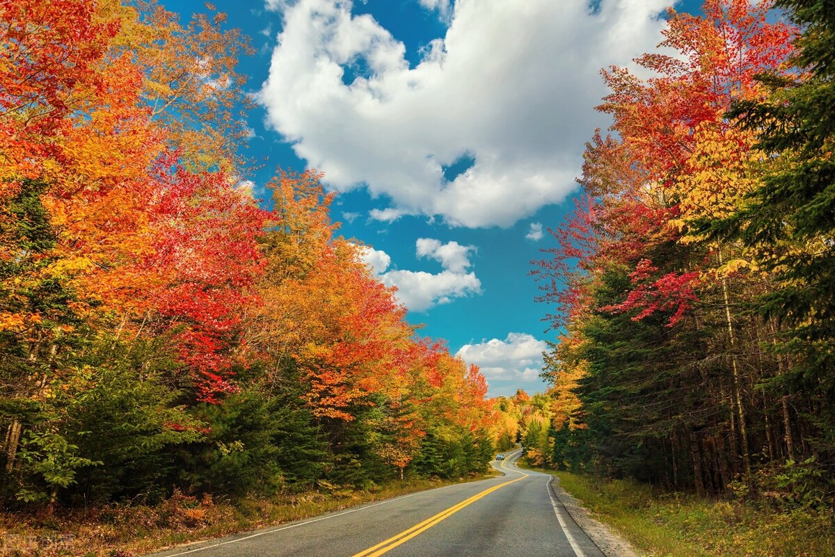 中年婚姻全集视频,中年婚姻全文