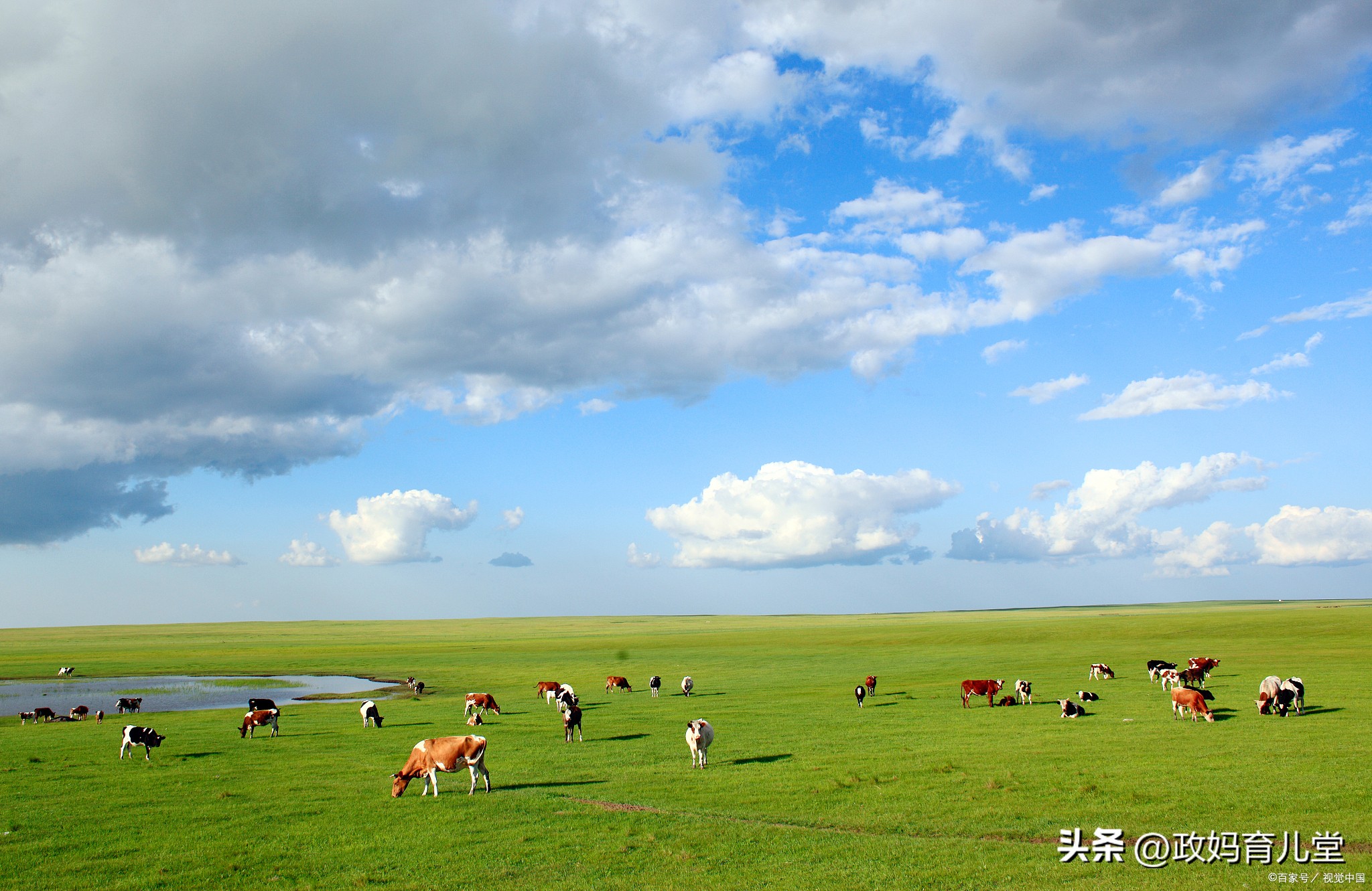 广州出发四天三晚旅游推荐亲子游,上海亲子游旅游2-3天详细攻略
