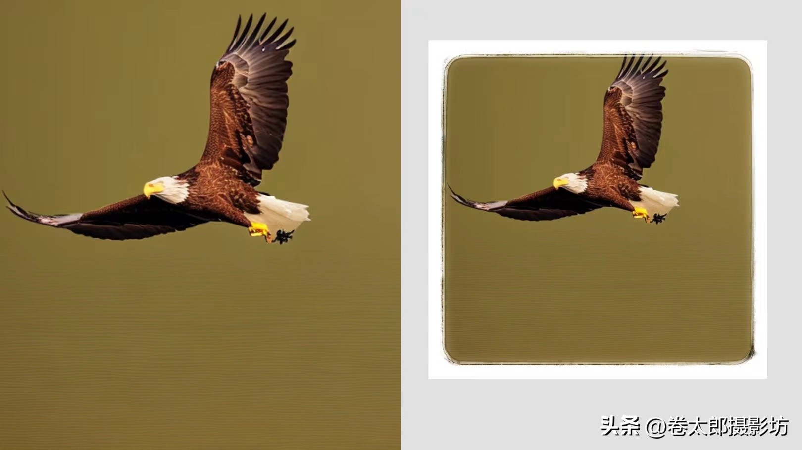 手机拍照后期怎么修图好看,无后期不摄影教你手机修图速成